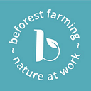 Beforest Lifestyle Solutions logo