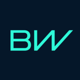 BorgWarner logo