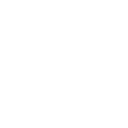 Bravebird AI logo