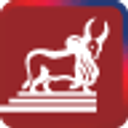 IndusInd General Insurance logo