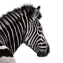 Investec plc logo
