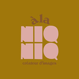 NIQ logo