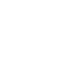 Rebel Foods logo