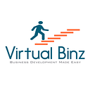 Virtual Binz logo